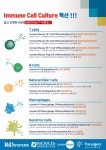 Immune Cell Culture 혁신 CellXVIvo 시리즈~ > BRIC Immune Cell Culture 혁신 CellXVIvo 시리즈~