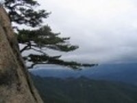 산행기 - 신선골 주유기 (학현리-신선봉-금수산-망덕봉-소용아릉-능강교)