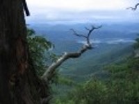 산행기 - 신선골 주유기 (학현리-신선봉-금수산-망덕봉-소용아릉-능강교)