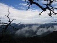 산행기 - 신선골 주유기 (학현리-신선봉-금수산-망덕봉-소용아릉-능강교)