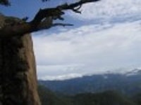 산행기 - 신선골 주유기 (학현리-신선봉-금수산-망덕봉-소용아릉-능강교)