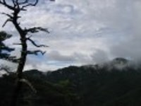 산행기 - 신선골 주유기 (학현리-신선봉-금수산-망덕봉-소용아릉-능강교)