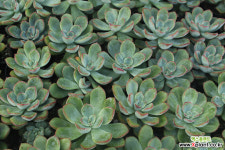 워시원[랜덤] 천원상품