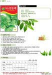 (CN)청농叶子들깨(1400립) 蔬菜/粮食 种子