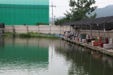 낚시 상세 - 에코힐링관광 - 테마관광 - 관광지 - 문화관광 낚시 | 문화관광