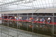 낚시 상세 - 에코힐링관광 - 테마관광 - 관광지 - 문화관광 낚시 | 문화관광