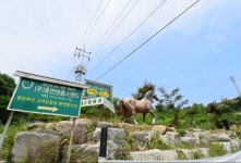 승마 목록 - 에코힐링관광 - 테마관광 - 관광지 - 문화관광 승마 | 문화관광
