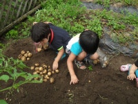 우수농장소개 상세 - 양주농업 - 농업기술센터
