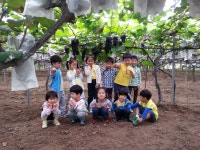 우수농장 상세 - 맛집 - 숙박/맛집 - 문화관광 우수농장 | 문화관광