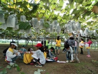 우수농장 상세 - 맛집 - 숙박/맛집 - 문화관광 우수농장 | 문화관광