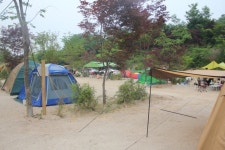 우수농장 상세 - 맛집 - 숙박/맛집 - 문화관광 우수농장 | 문화관광