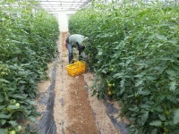 우수농장 상세 - 맛집 - 숙박/맛집 - 문화관광 우수농장 | 문화관광
