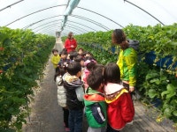 우수농장 상세 - 맛집 - 숙박/맛집 - 문화관광 우수농장 | 문화관광