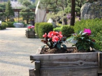 우수농장소개 상세 - 양주농업 - 농업기술센터