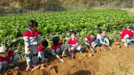 우수농장소개 상세 - 양주농업 - 농업기술센터