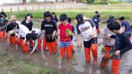 우수농장소개 상세 - 양주농업 - 농업기술센터