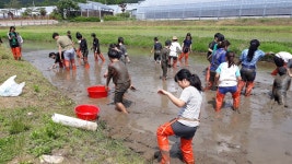 우수농장소개 상세 - 양주농업 - 농업기술센터