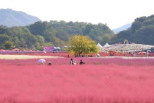 영농현장 및 교육사진 상세 - 열린마당 - 농업기술센터