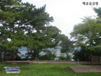 학림도 ( 송도,저도 )