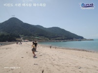 비진도