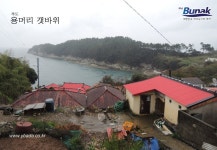추도