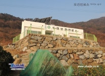 두미도