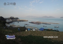 금오도,안도 - 1