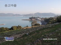 금오도,안도 - 1