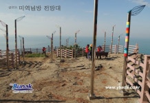 금오도,안도 - 1