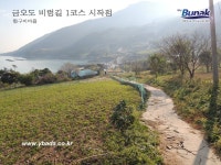 금오도,안도 - 1