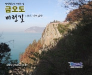 금오도,안도 - 1