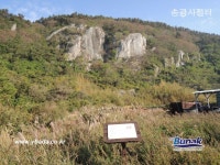 금오도,안도 - 1
