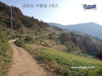 금오도,안도 - 1