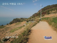 금오도,안도 - 1