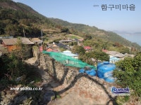 금오도,안도 - 1
