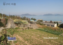 금오도,안도 - 1