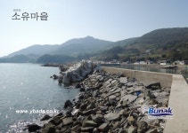 금오도,안도 - 1