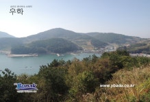 금오도,안도 - 1