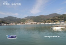 금오도,안도 - 2