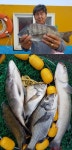 삼천포산분령유료낚시터 조황