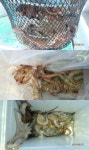 제포호 내일 예약됩니다.