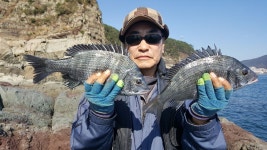 송도 두도 감성돔.참돔조황