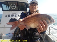 국도) 지금 덩치급들이 핫 합니다...