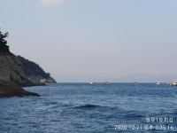 ((팔포1호))욕지권 대물 감성돔 5짜도~전 (내일 콜)