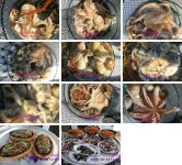 10/24 키로급돌문어 굿굿~오늘오후출조