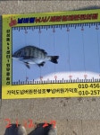 가덕 넘버원 낚시