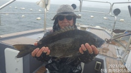 진동 파라다이스호 대물 52 외 마릿수..