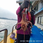 팔포항 수덕호 선상 돌문어