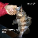 야간선상 뽈루
