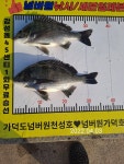 가덕도 천성항 넘버원낚시